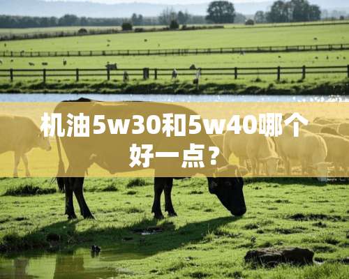 机油5w30和5w40哪个好一点？