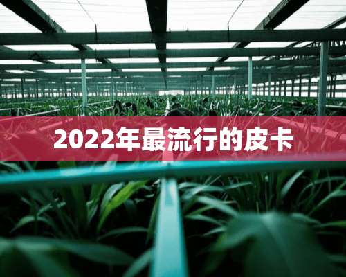 2022年最流行的皮卡