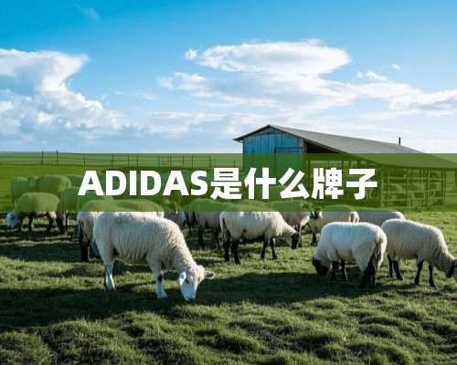 ADIDAS是什么牌子