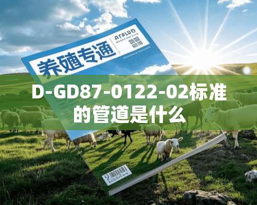 D-GD87-0122-02标准的管道是什么