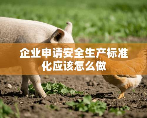 企业申请安全生产标准化应该怎么做