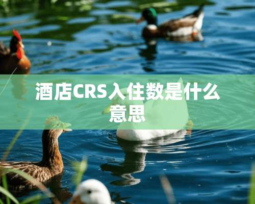 酒店CRS入住数是什么意思