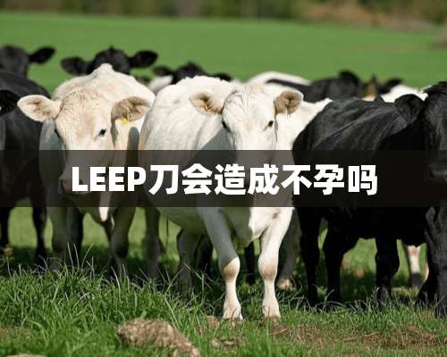 LEEP刀会造成不孕吗