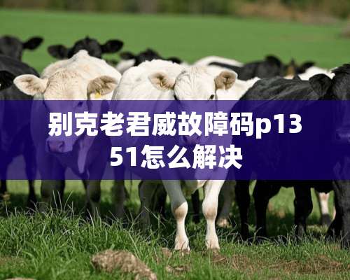 别克老君威故障码p1351怎么解决