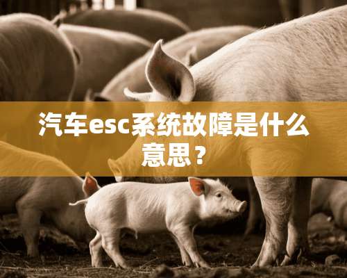 汽车esc系统故障是什么意思？