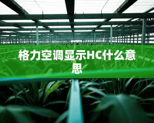 格力空调显示HC什么意思