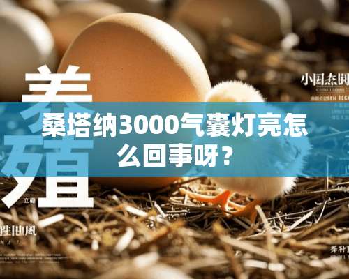 桑塔纳3000气囊灯亮怎么回事呀？