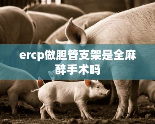 ercp做胆管支架是全**手术吗