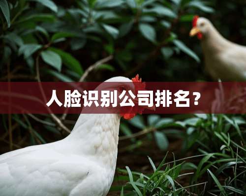 人脸识别公司排名？