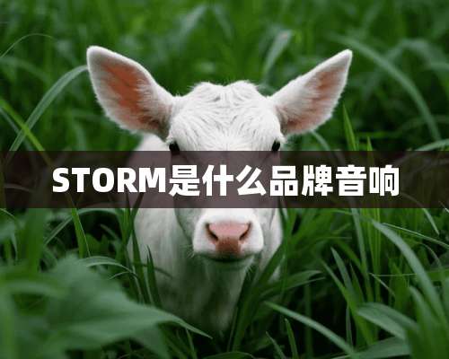 STORM是什么品牌音响