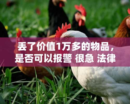 丢了价值1万多的物品，是否可以报警 很急 法律界专业人士帮帮忙