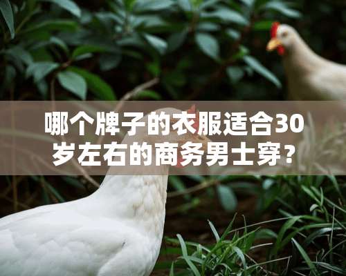 哪个牌子的衣服适合30岁左右的商务男士穿？