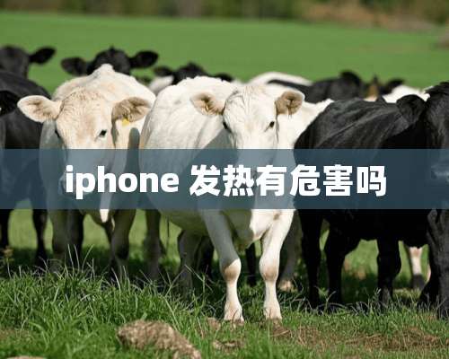 iphone 发热有危害吗