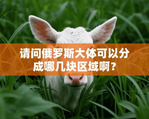 请问俄罗斯大体可以分成哪几块区域啊？