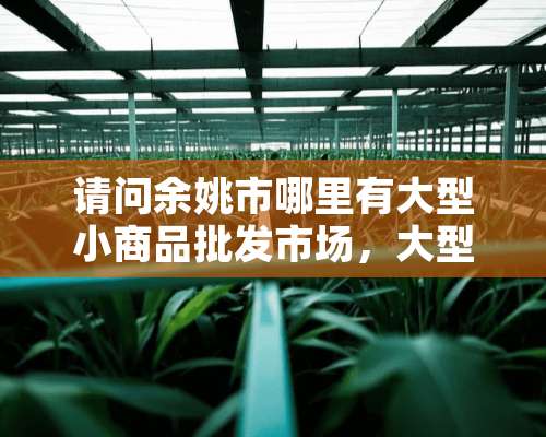 请问余姚市哪里有大型小商品批发市场，大型蔬菜，水果批发市场