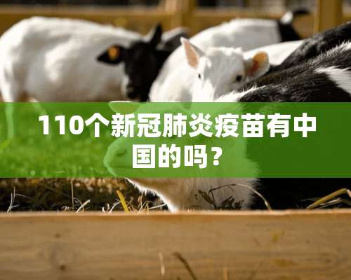 110个新冠肺炎**有中国的吗？