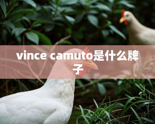 vince camuto是什么牌子