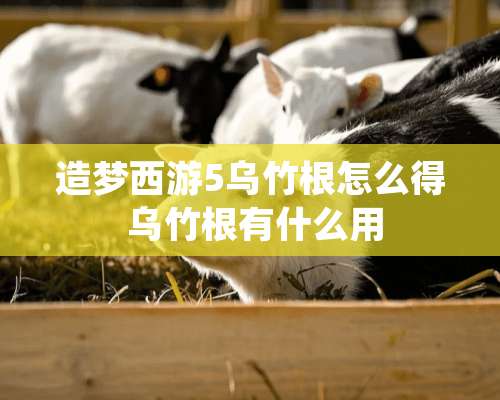 造梦西游5乌竹根怎么得 乌竹根有什么用