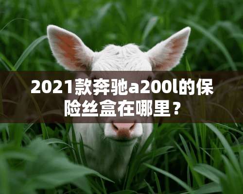 2021款奔驰a200l的保险丝盒在哪里？