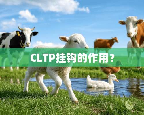 CLTP挂钩的作用？