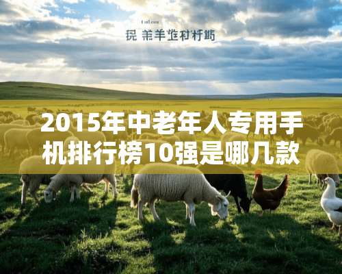 2015年中老年人专用手机排行榜10强是哪几款？