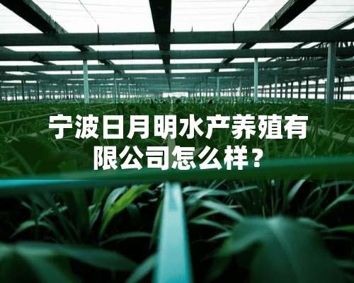 宁波日月明水产养殖有限公司怎么样？