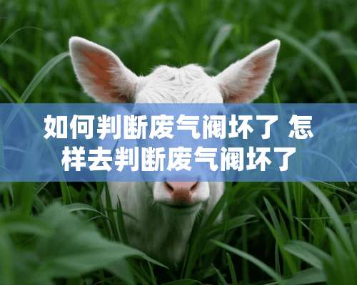 如何判断废气阀坏了 怎样去判断废气阀坏了