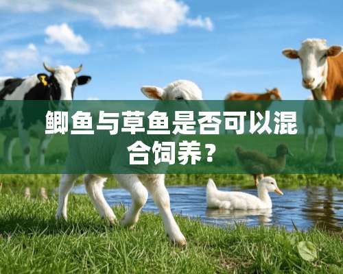 鲫鱼与草鱼是否可以混合饲养？