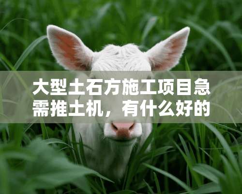 大型土石方施工项目急需推土机，有什么好的机型推荐吗？