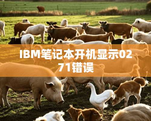 IBM笔记本开机显示0271错误