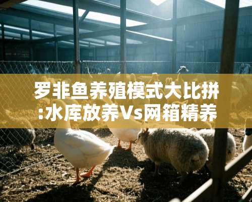 罗非鱼养殖模式大比拼:水库放养Vs网箱精养