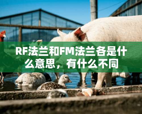 RF法兰和FM法兰各是什么意思，有什么不同