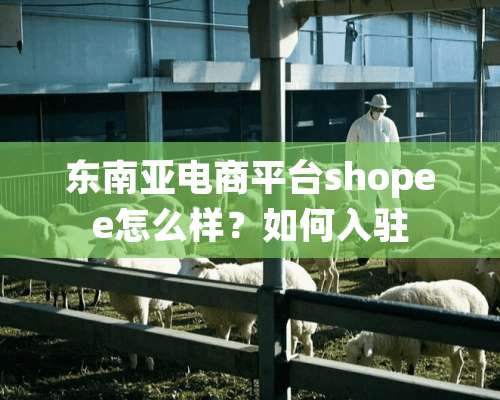 东南亚电商平台shopee怎么样？如何入驻