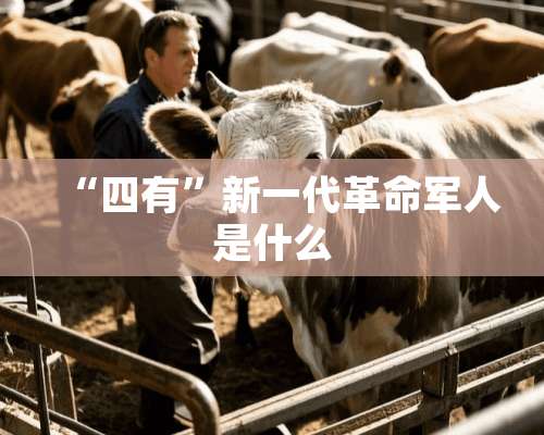 “四有”新一代**军人是什么