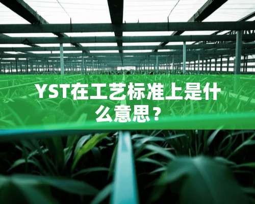 YST在工艺标准上是什么意思？