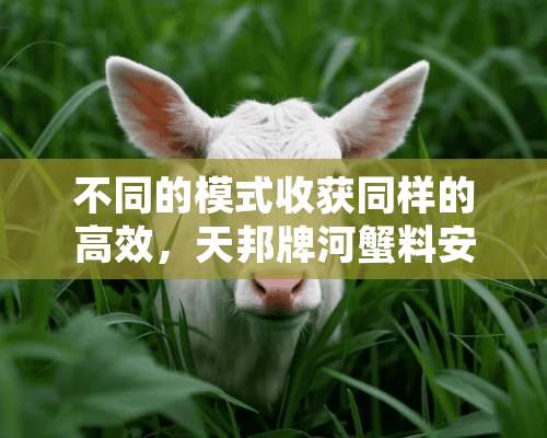 不同的模式收获同样的高效，天邦牌河蟹料安徽芜湖掀**！