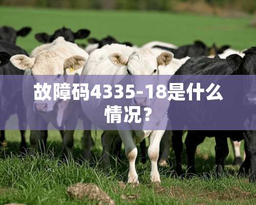 故障码4335-18是什么情况？