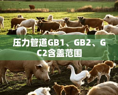 压力管道GB1、GB2、GC2含盖范围