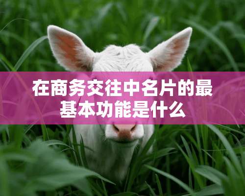 在商务交往中名片的最基本功能是什么