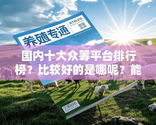 国内十大众筹平台排行榜？比较好的是哪呢？能否回答下，谢谢