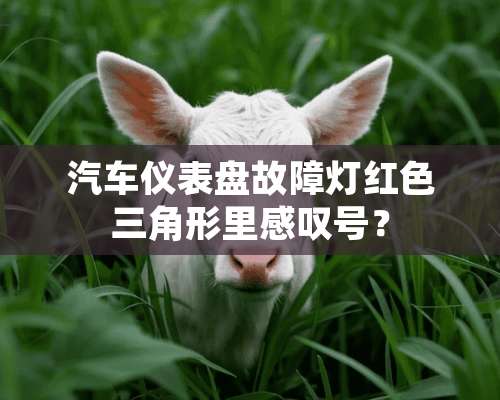 汽车仪表盘故障灯红色三角形里感叹号？