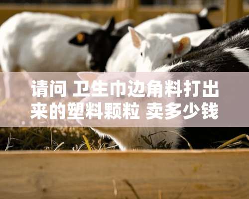 请问 卫生巾边角料打出来的塑料颗粒 卖多少钱一吨