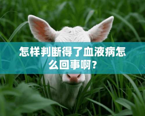 怎样判断得了血液病怎么回事啊？