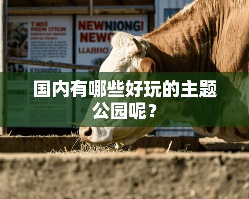 国内有哪些好玩的主题公园呢？