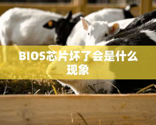 BIOS芯片坏了会是什么现象