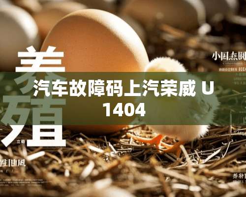 汽车故障码上汽荣威 U1404