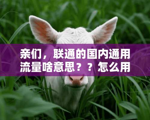 亲们，联通的国内通用流量啥意思？？怎么用啊？？