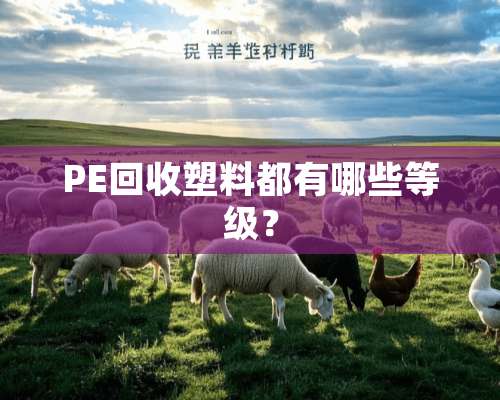 PE回收塑料都有哪些等级？