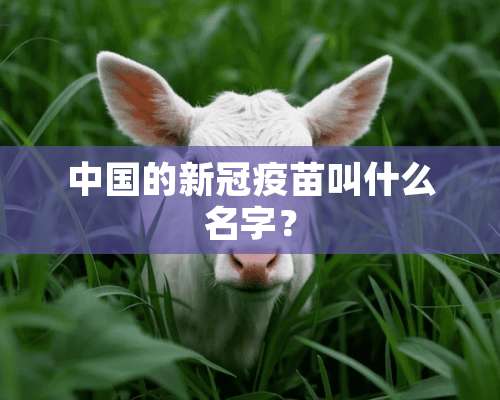 中国的新冠**叫什么名字？