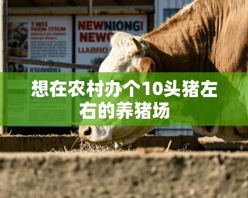 想在农村办个10头猪左右的养猪场